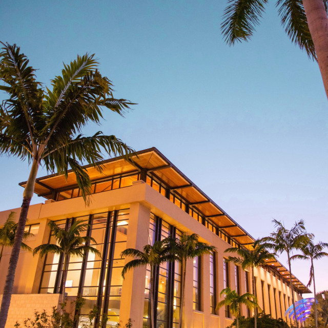 North side of building evening with palm trees 